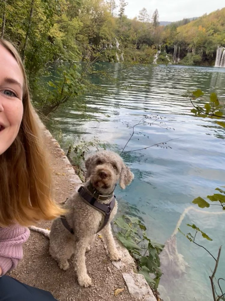 Hundetreffen-Social Walk-Profilbild