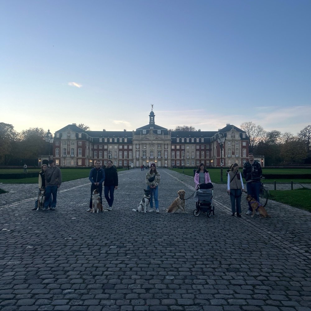 Hundetreffen-Social Walk-Profilbild