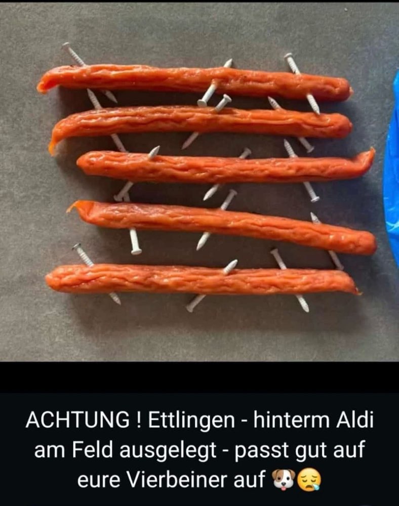 Giftköder-Wurst mit Nägel ausgelegt-Profilbild