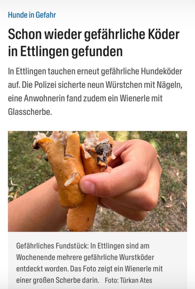 Giftköder-Giftköder-Profilbild