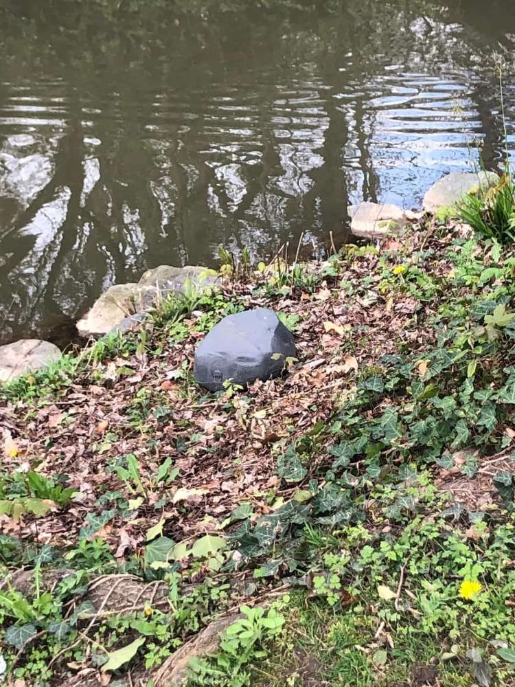 Giftköder-Rattengift-Profilbild