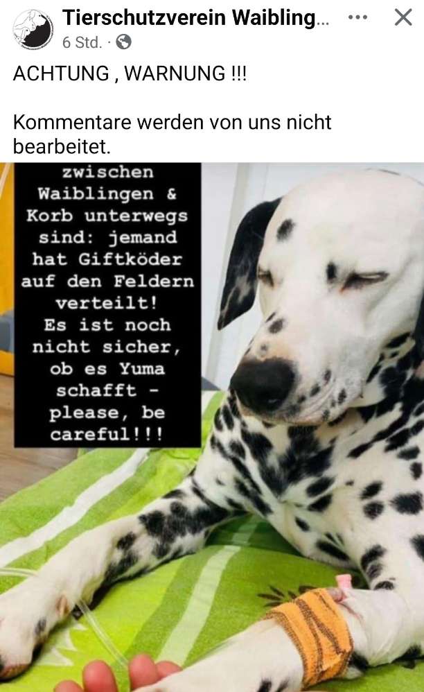 Giftköder-Giftköder zwischen Waiblingen und Korb-Profilbild