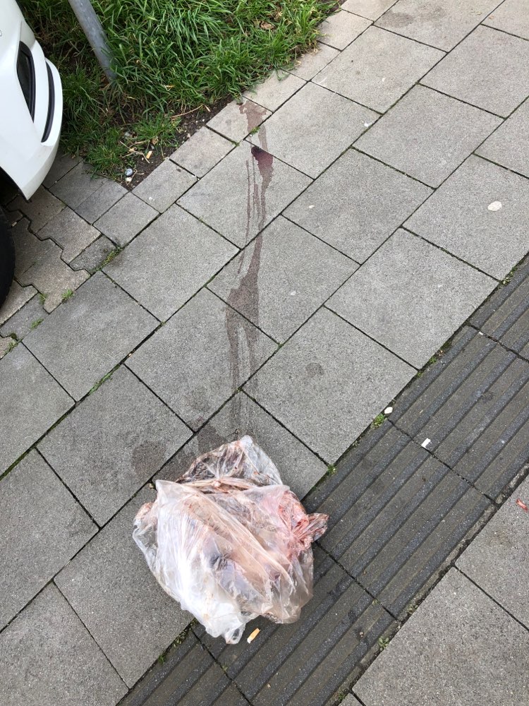 Giftköder-Offene Plastiktüte mit Fleisch gefüllt-Profilbild