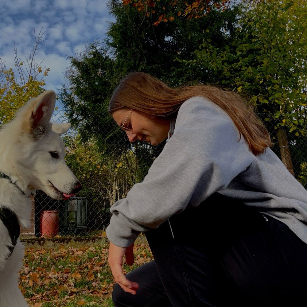 Hundetreffen-Walkies und/oder Play-Dates 🐾🐶-Profilbild