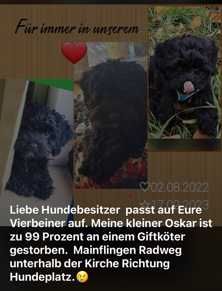 Giftköder-Giftköder-Profilbild
