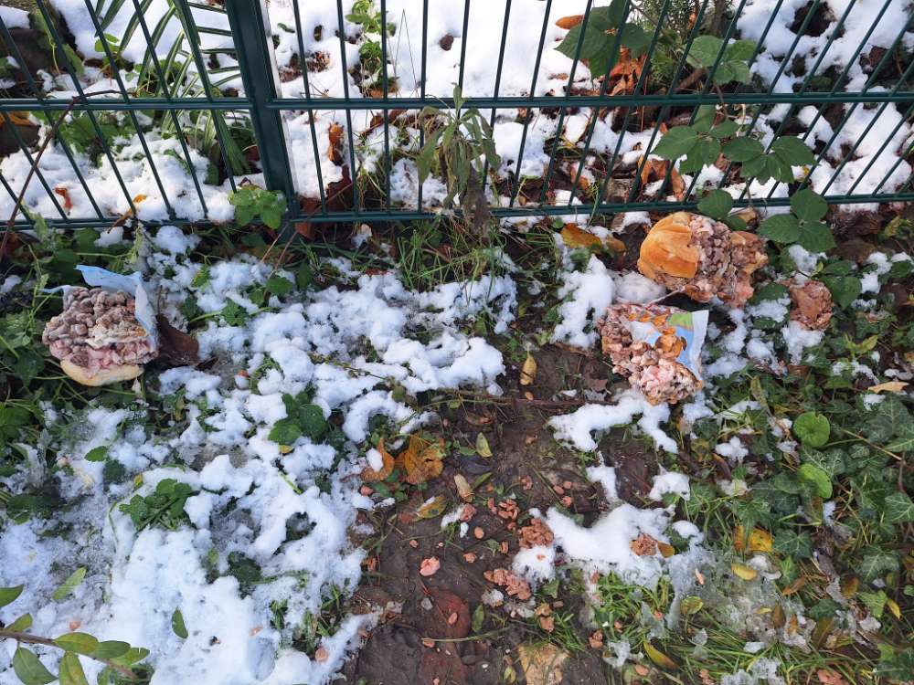 Giftköder-Möglicher Giftköder-Profilbild