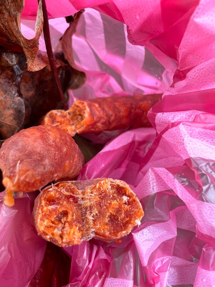 Giftköder-Würstchen - möglicherweise vergiftet-Profilbild