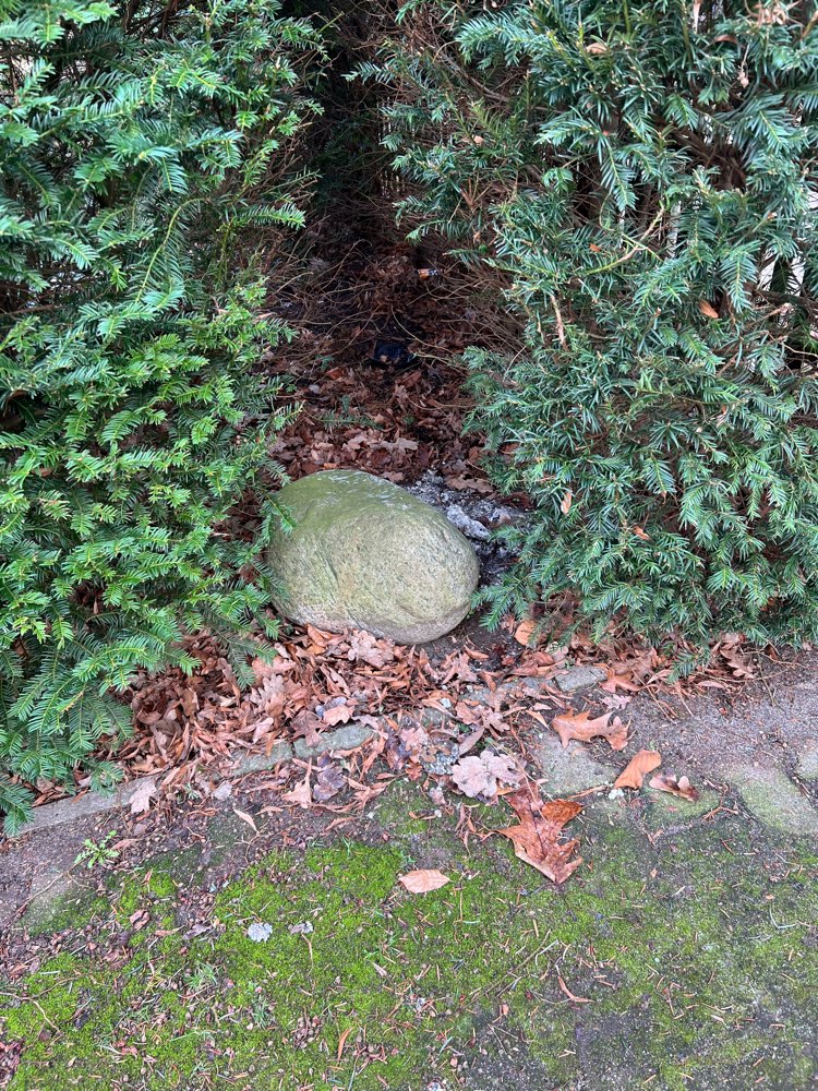 Giftköder-Mögliche giftige Masse Parkallee 1-Profilbild