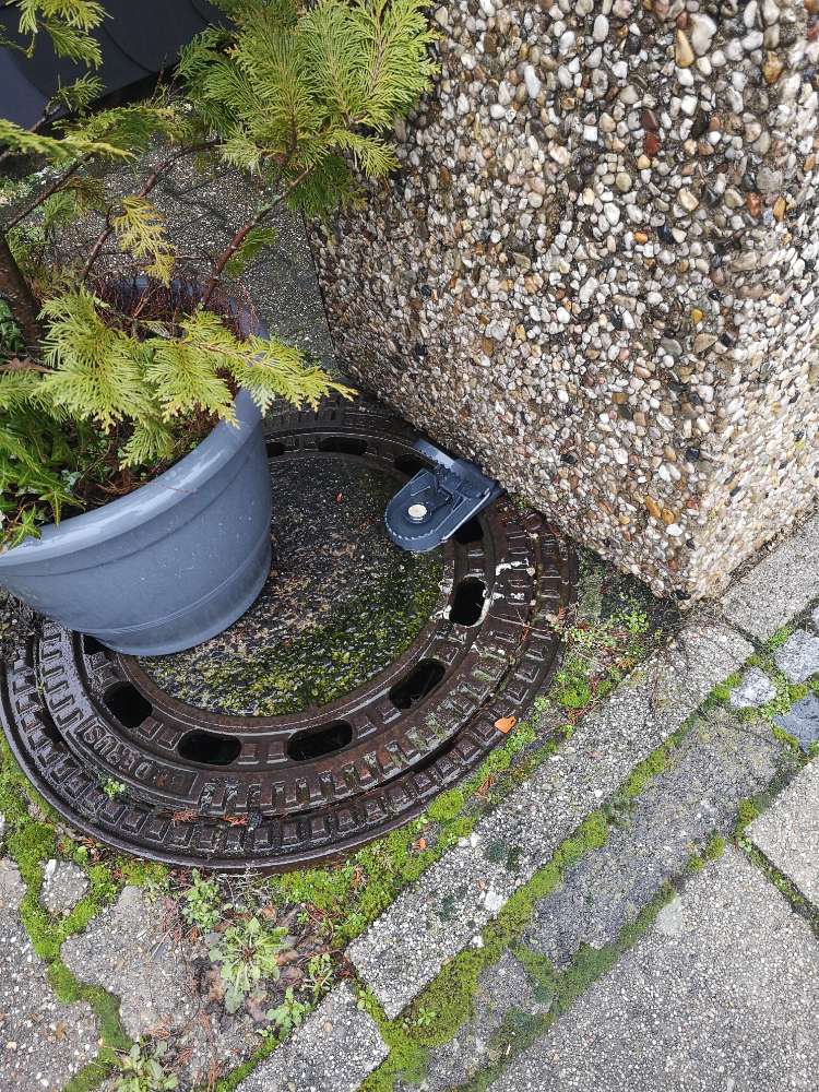 Giftköder-Falle?-Profilbild