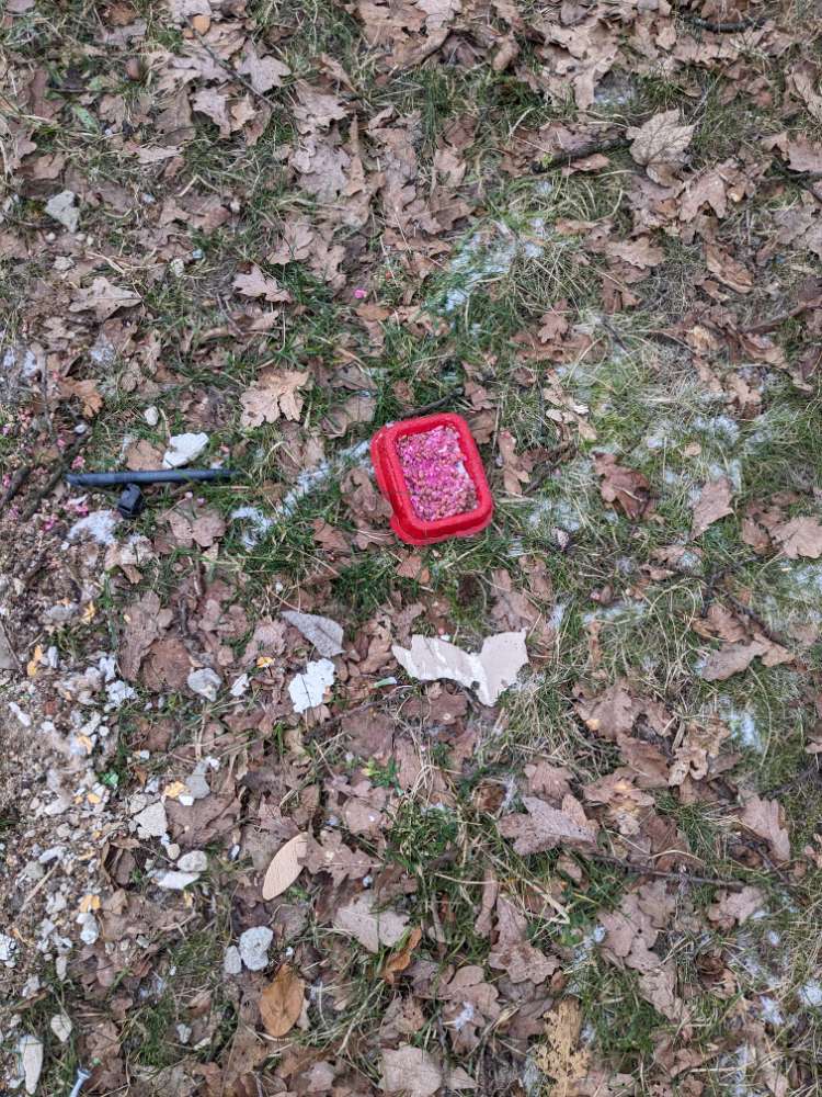 Giftköder-Giftköder-Profilbild