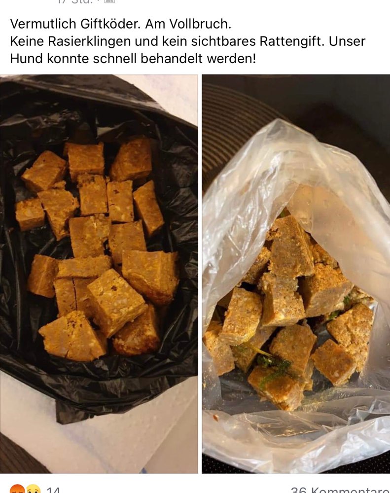 Giftköder-Vermutlich Giftköder-Profilbild