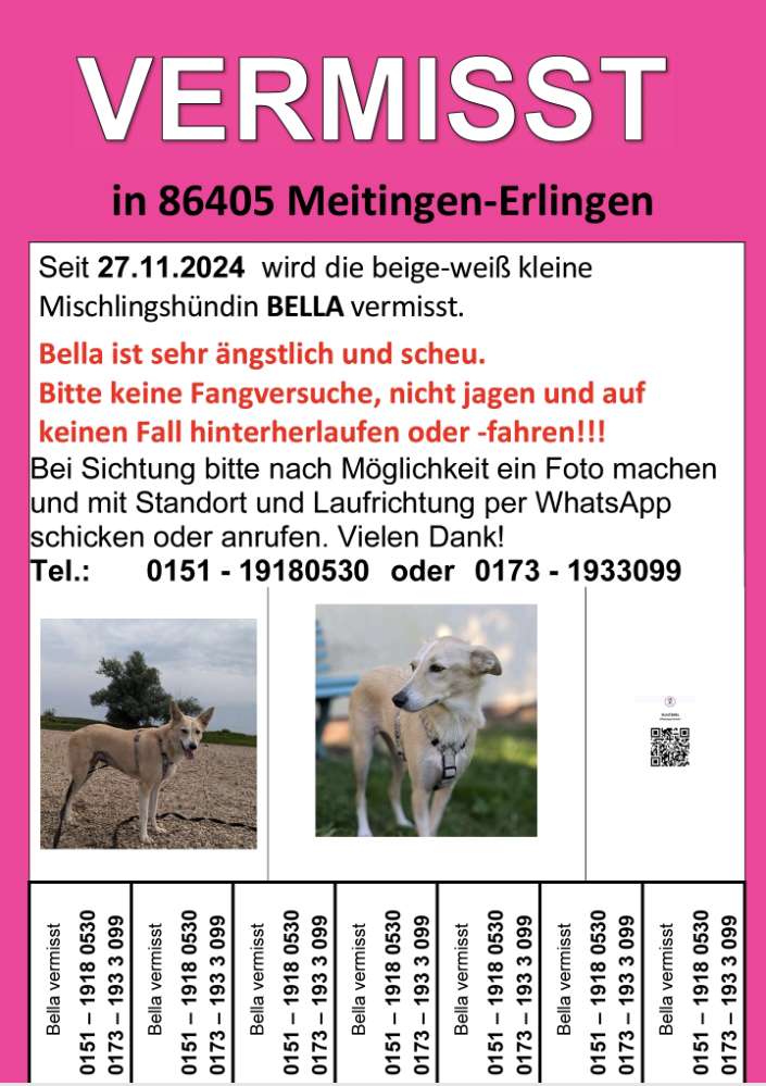 Suchmeldung-BELLA-Profilbild