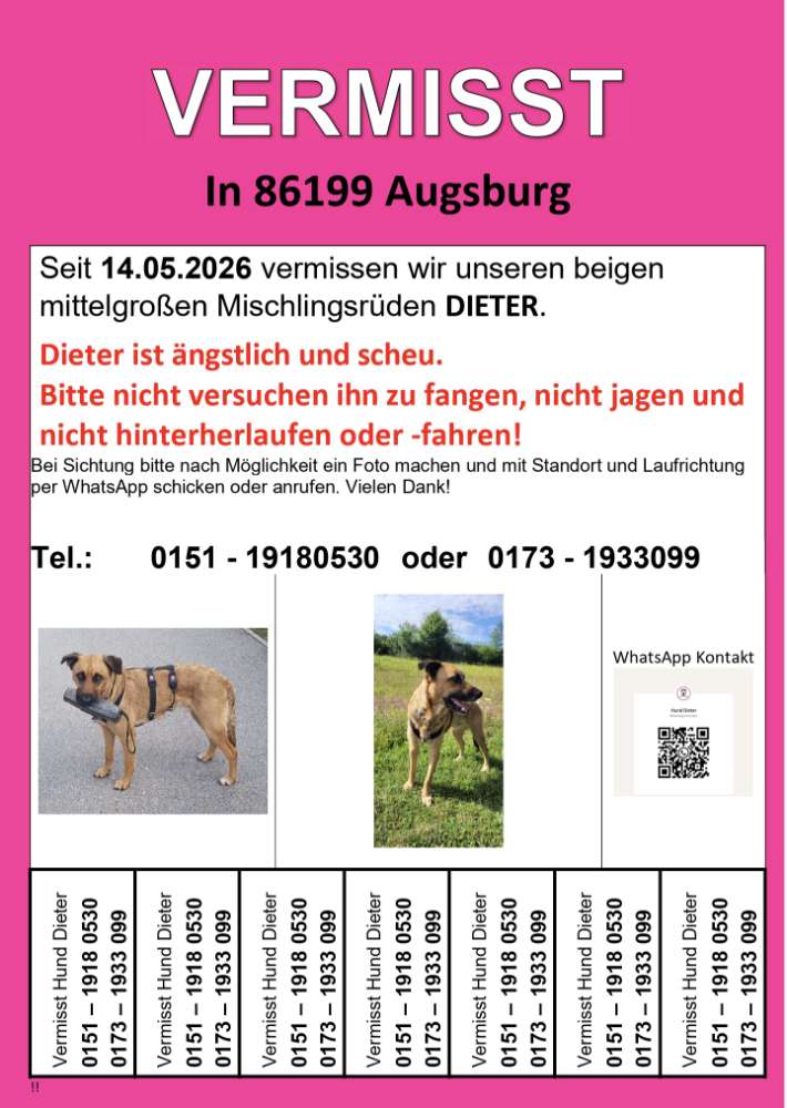 Suchmeldung-Dieter-Profilbild