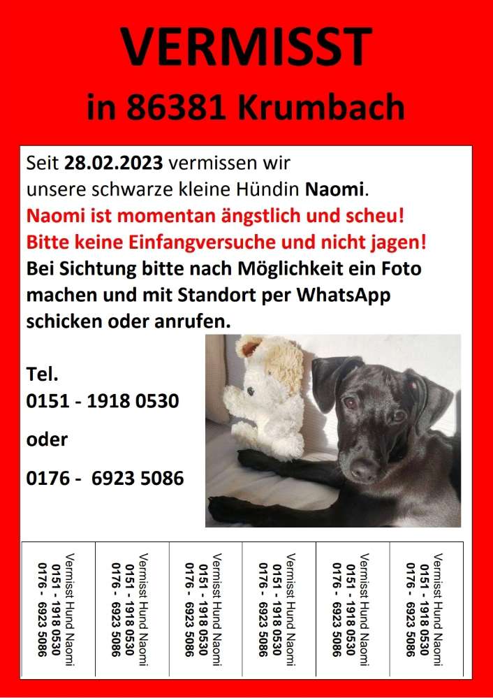 Suchmeldung-Naomi-Profilbild