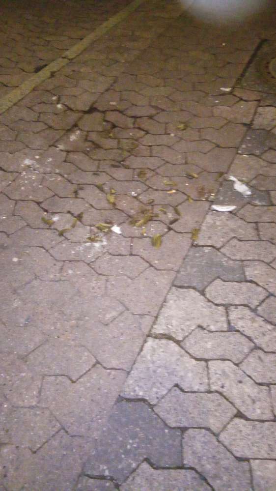 Giftköder-kaputtes Glas mit Gewürzgurken-Profilbild