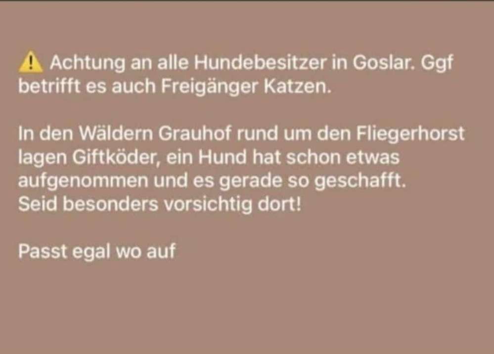 Giftköder-Giftköder-Profilbild