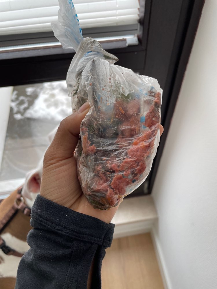 Giftköder-Giftköder-Profilbild