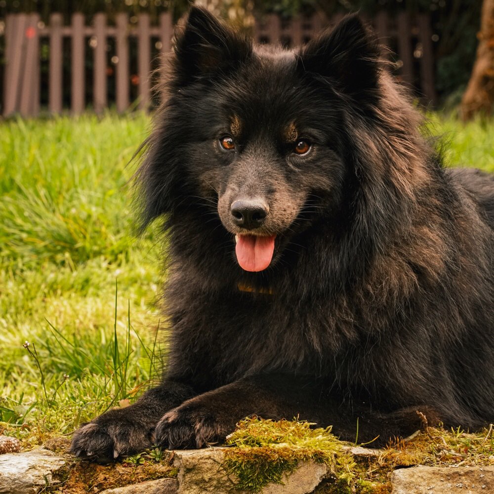 Suchmeldung-Nola-Profilbild