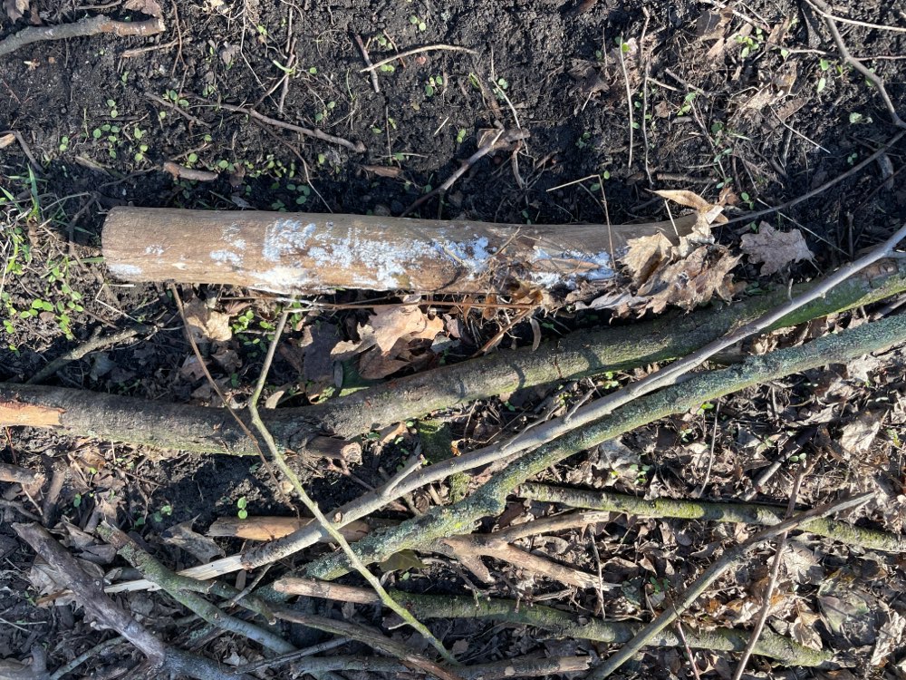 Giftköder-Weißes Pulver/White Powder! Treptower Pk-Profilbild