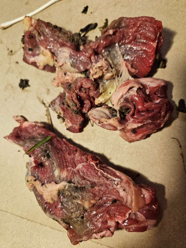 Giftköder-Giftköder-Profilbild