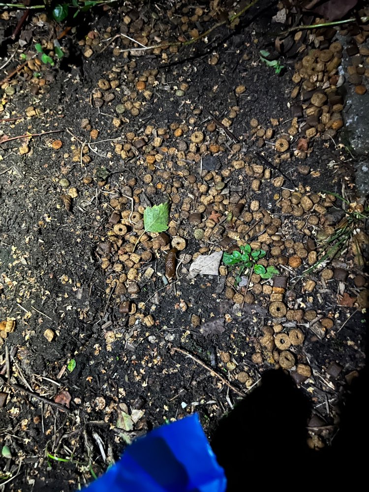 Giftköder-Tierfutter-Profilbild