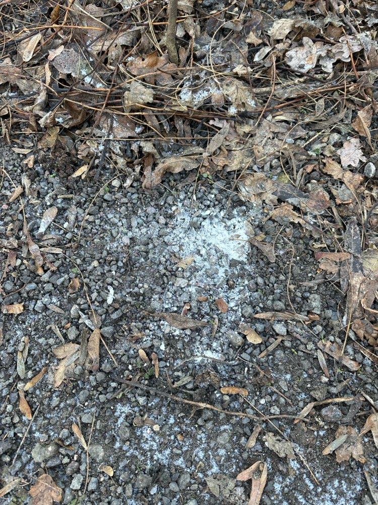 Giftköder-Weißes Pulver-Profilbild