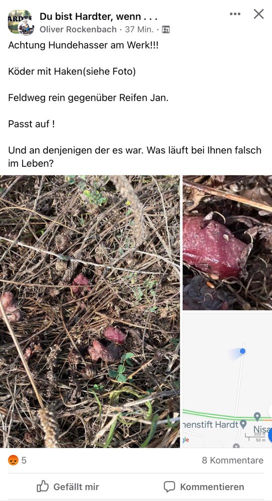 Giftköder-Fleischköder mit Angelhaken-Profilbild
