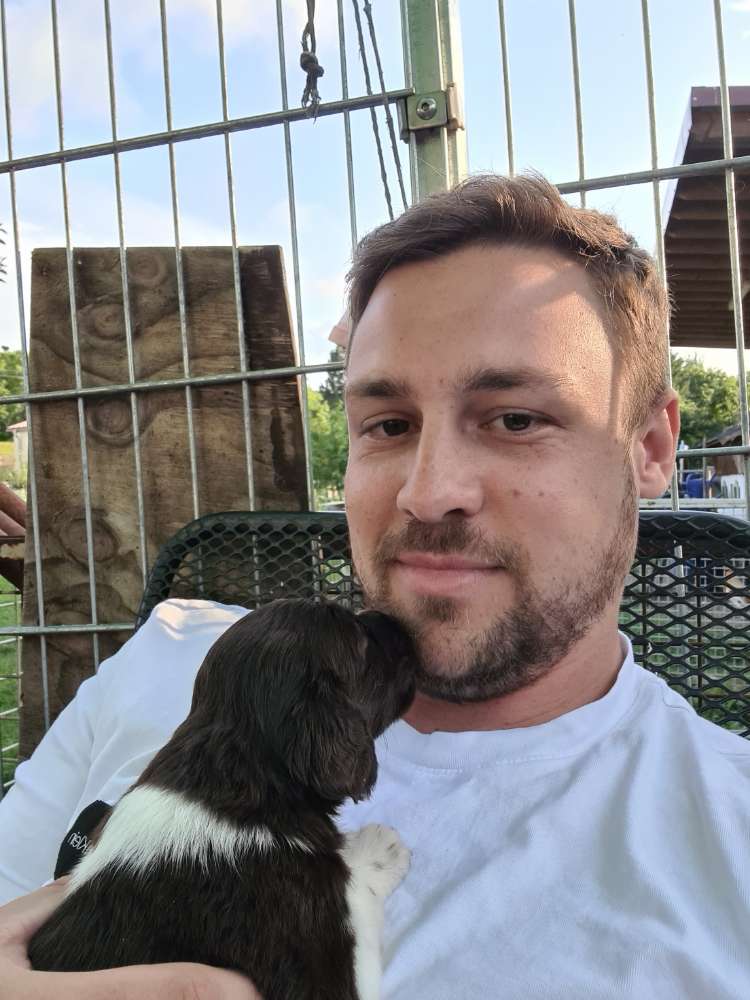 Hundetreffen-Spielen, Gassi & sozialer Umgang-Profilbild