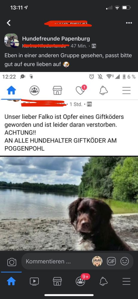 Giftköder-Hund an Giftköder gestorben-Profilbild