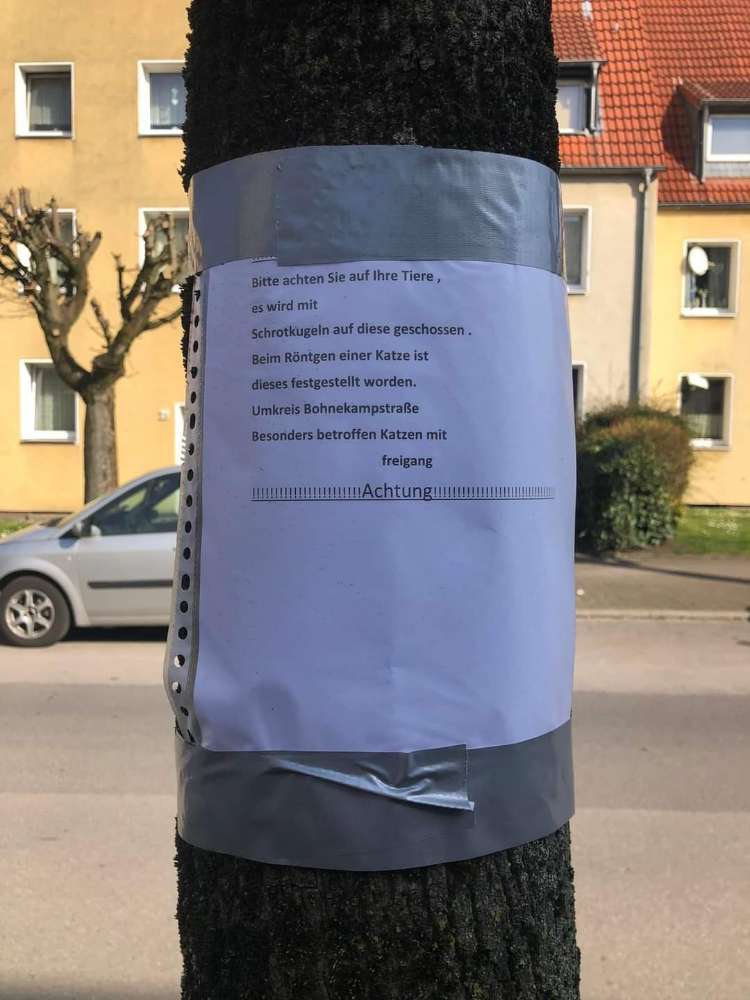 Giftköder-Schrotkugeln-Profilbild