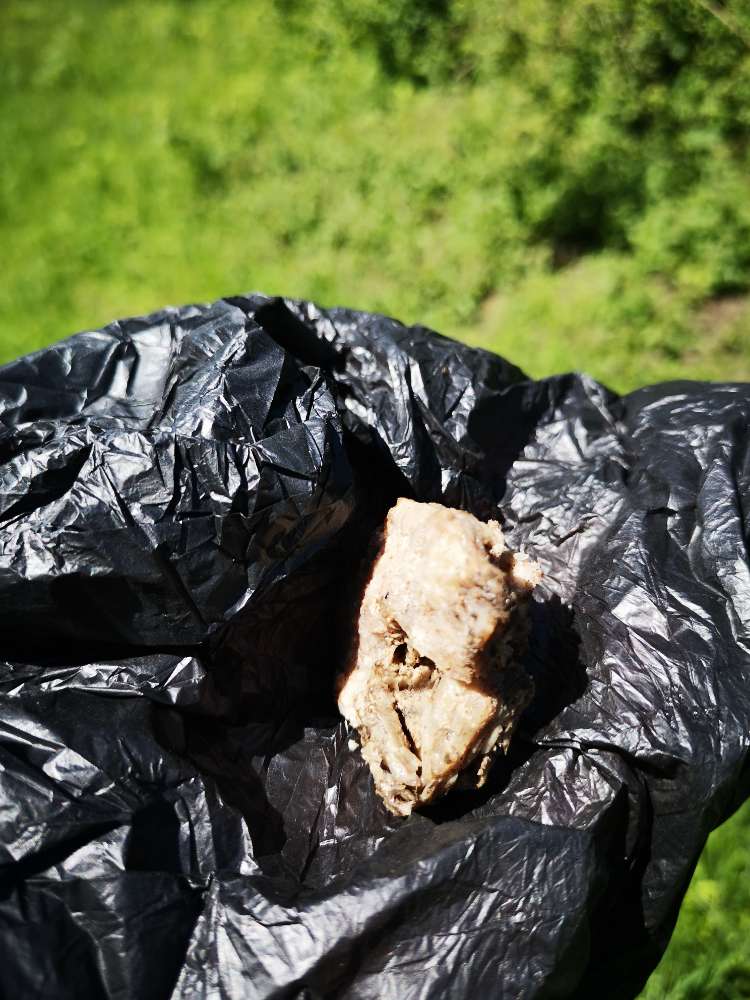 Giftköder-Fleischstücke-Profilbild