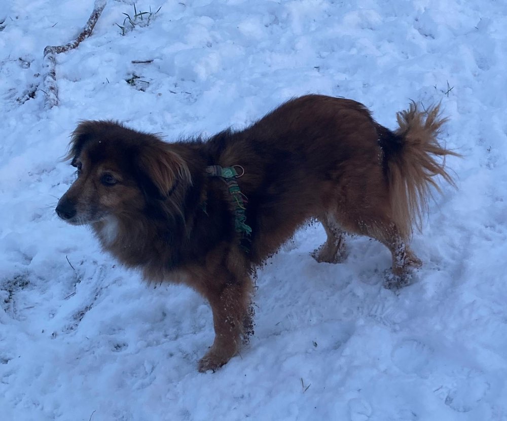 Suchmeldung-Yebo-Profilbild