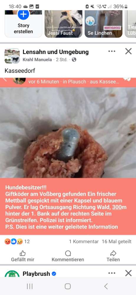 Giftköder-Giftköder-Profilbild