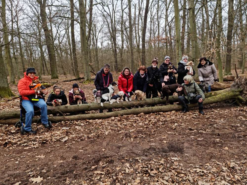 Hundetreffen-Gassi Treffen täglich in Spandau oder Reinickendorf-Profilbild