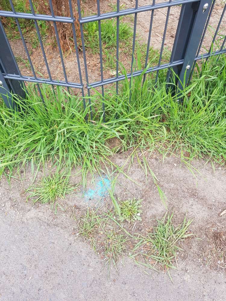 Giftköder-Rattengift gestreut-Profilbild