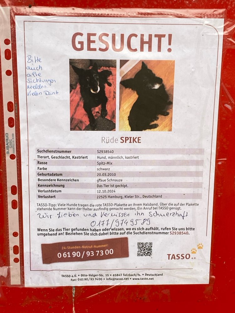 Suchmeldung-Spike-Profilbild