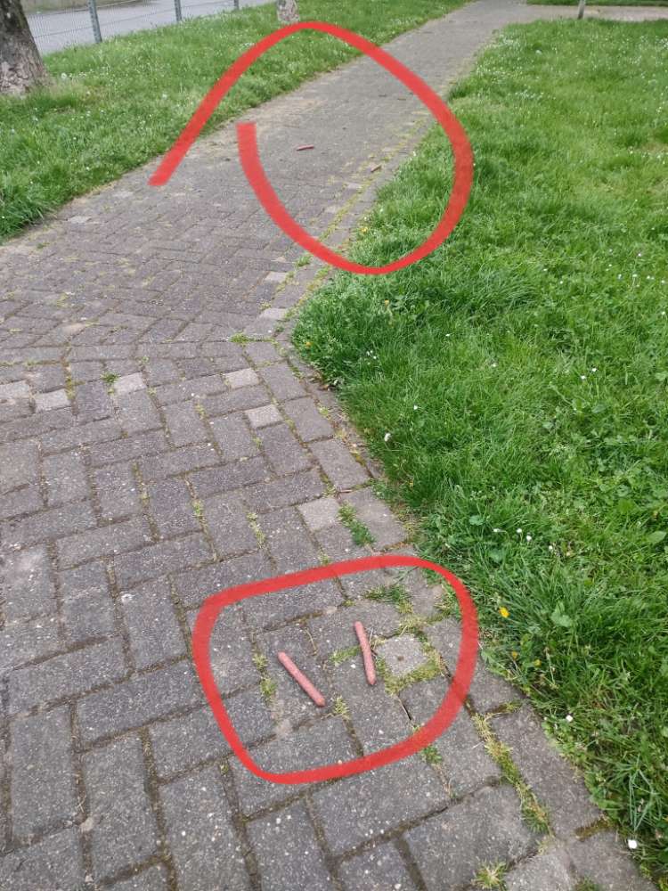 Giftköder-Mettwürstchen-Profilbild