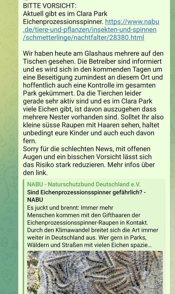 Giftköder-Eichenprozessionsspinner im Clarapark-Profilbild