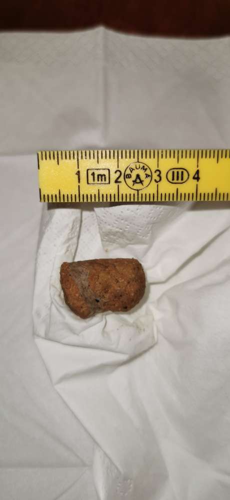 Giftköder-Eventueller Giftköder-Profilbild