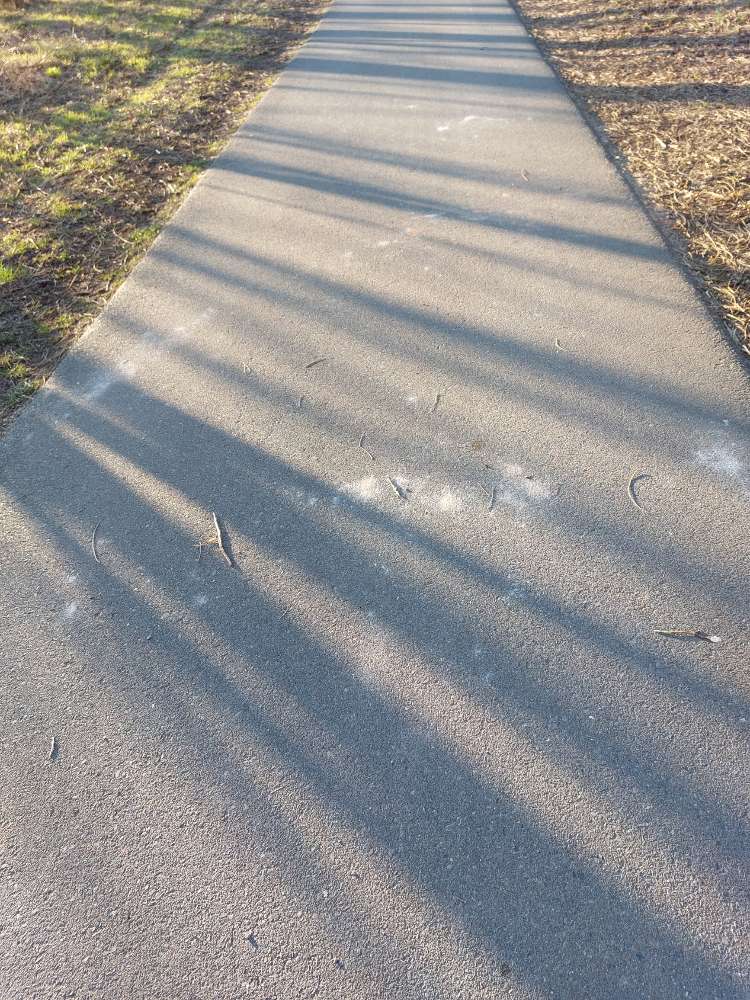Giftköder-Weißes Pulver  in Lichtenow -  Gift?-Profilbild