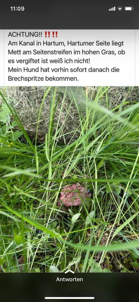 Giftköder-Giftköder / Gehacktes Reste-Profilbild