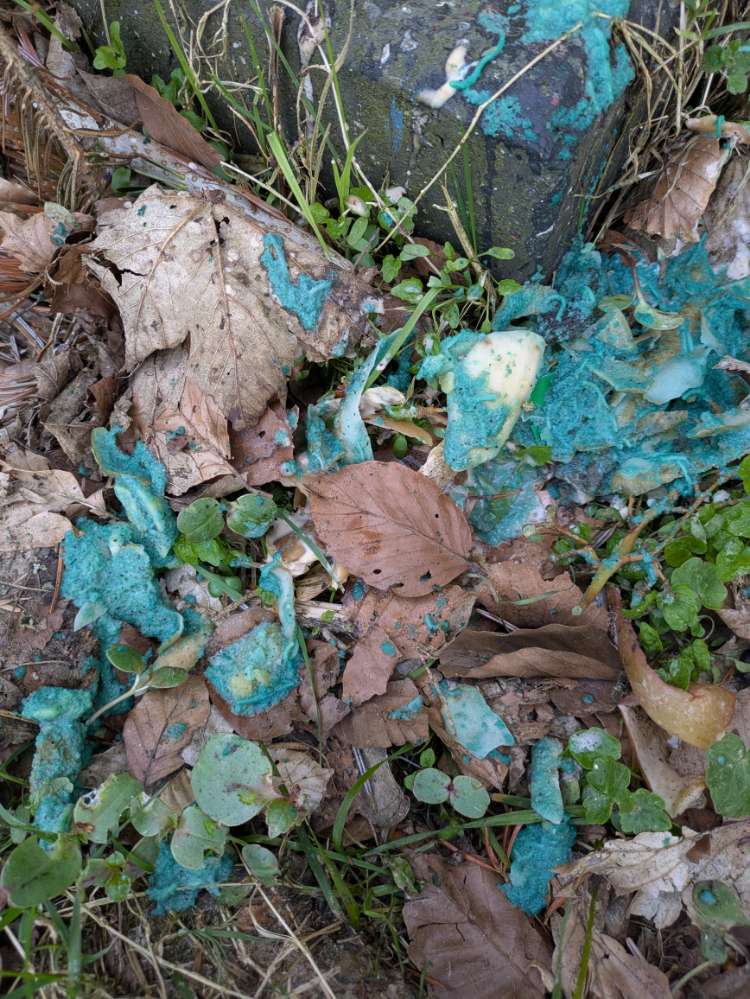 Giftköder-Verdächtige Abfälle-Profilbild