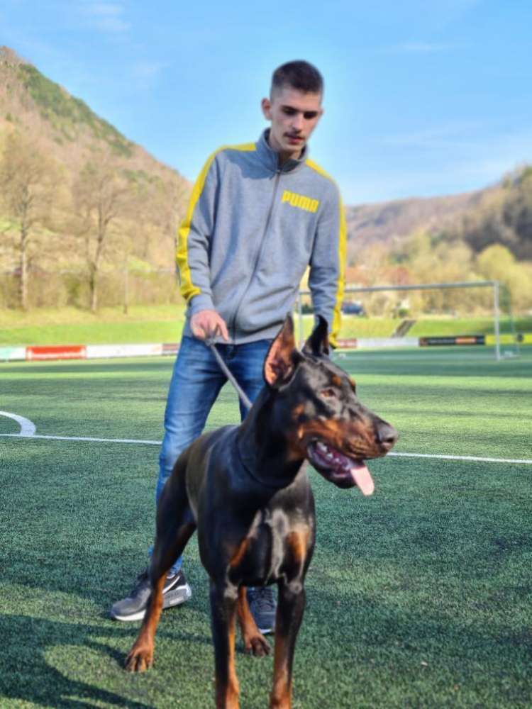 Hundetreffen-Hunde treffen in Umkreis von Metzingen-Profilbild