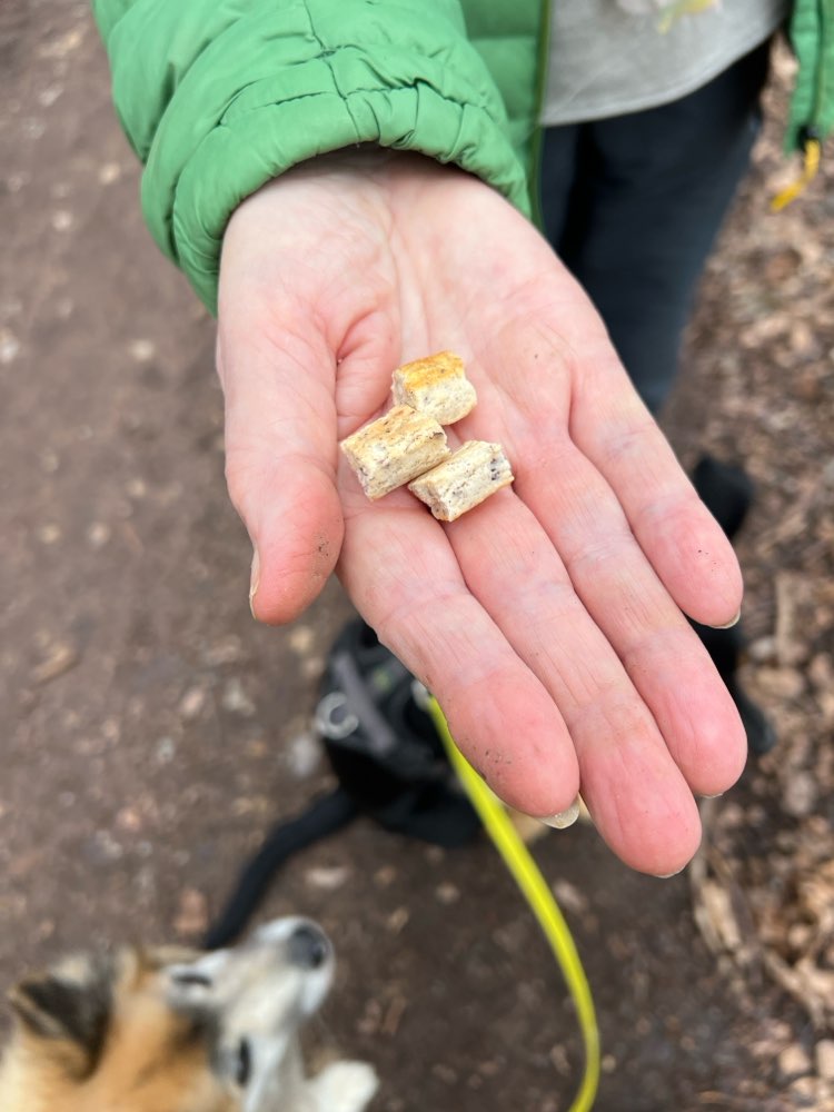Giftköder-Evtl Giftköder-Brotstücke-Profilbild