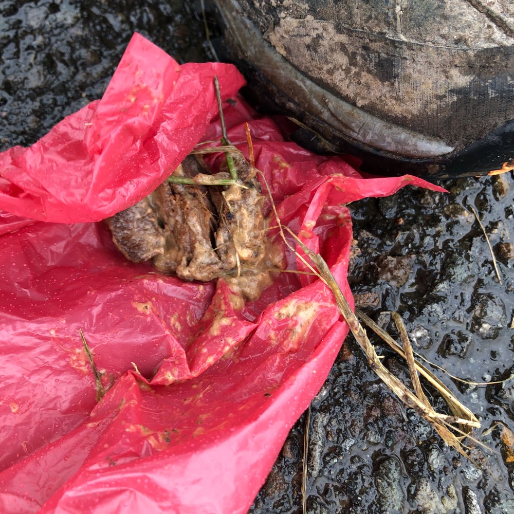 Giftköder-Vermutlich Giftköder-Profilbild