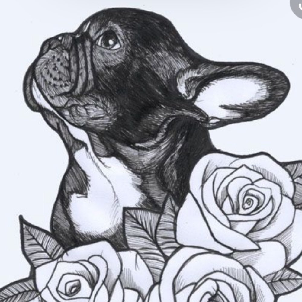 Hundetreffen-Bully treffen-Profilbild