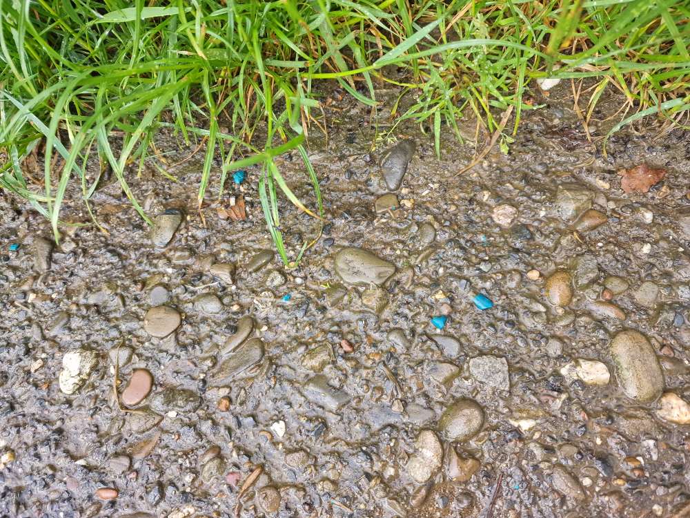 Giftköder-RATTENGIFT-Profilbild