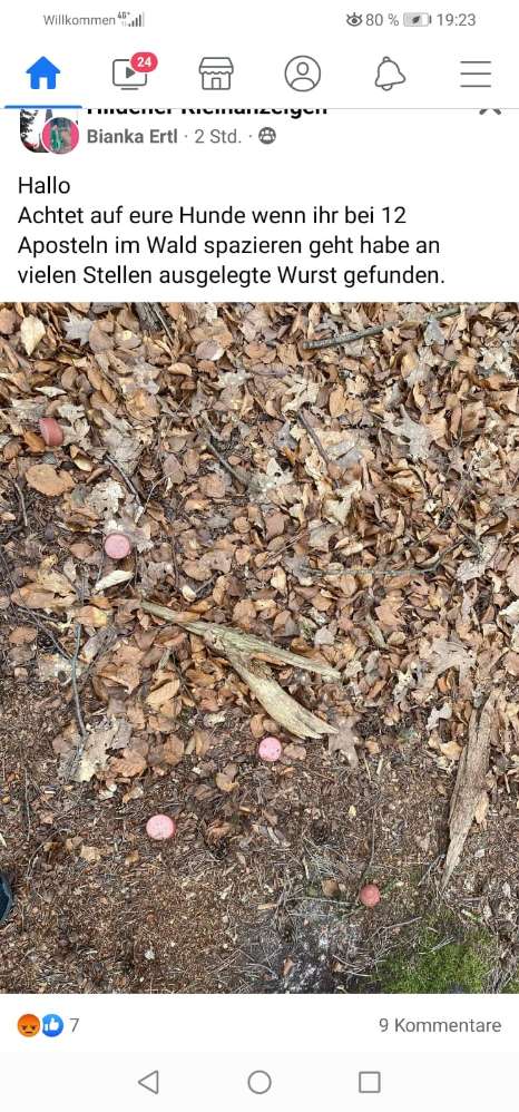 Giftköder-Wurststücke-Profilbild