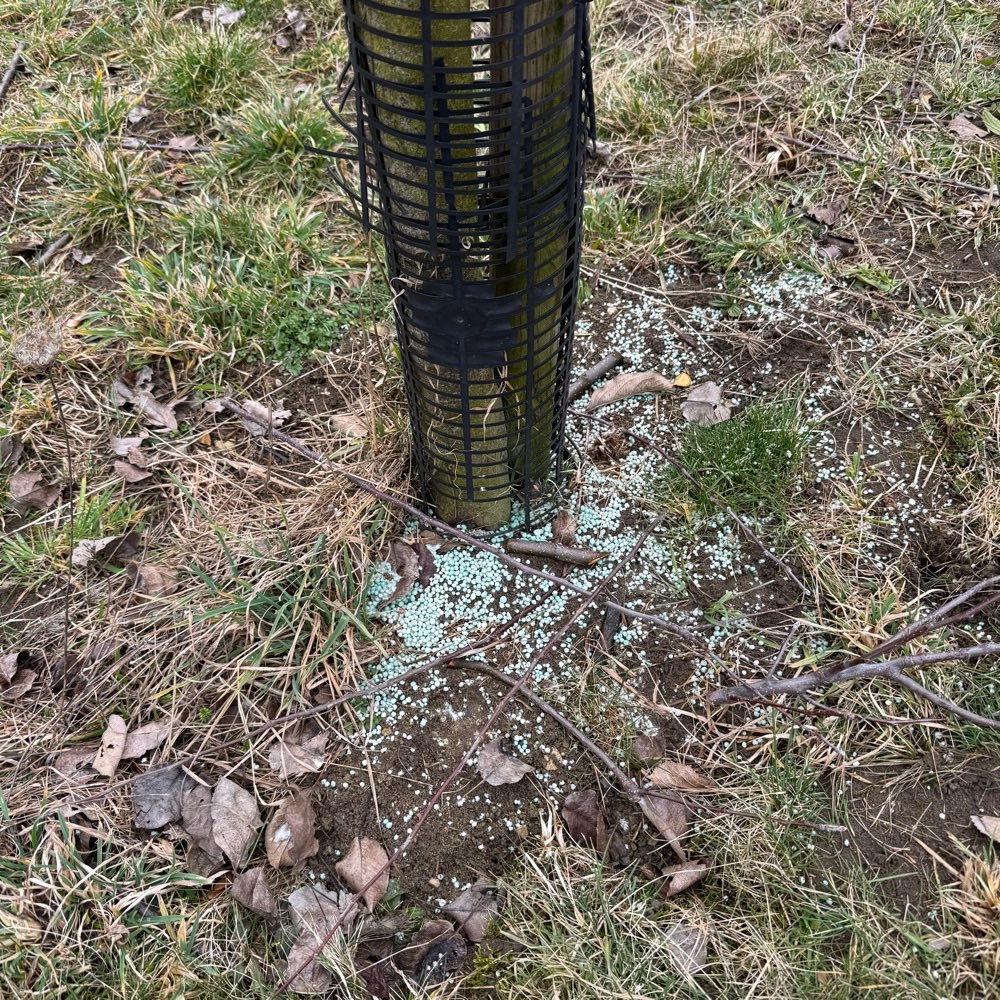 Giftköder-Dünger oder Schneckenkorn an Bäumen-Profilbild