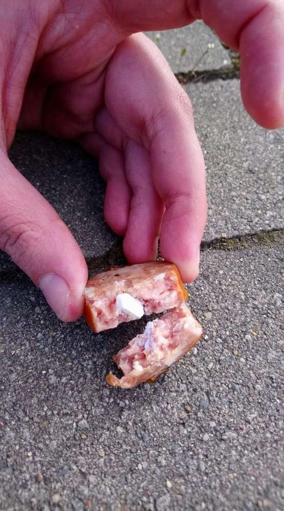 Giftköder-Wurststücke mit unbekanntem Inhalt-Profilbild